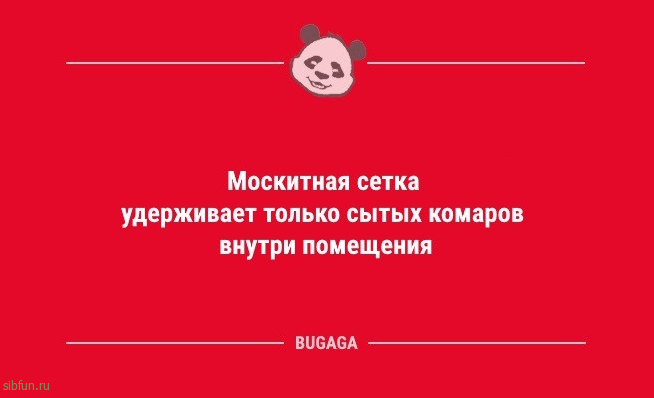 Анекдоты для пятничного настроения: "Москитная сетка…" 