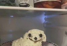 Взросло и смешно