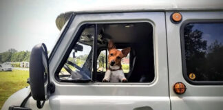 Сообщество фанатов и владельцев «Буханки» в Нидерландах