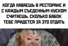 Едовые мемы