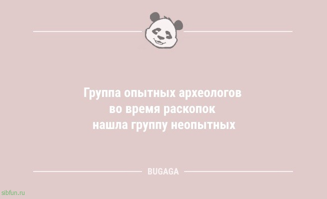 Анекдоты в середине недели: "Купил новые шины…" 