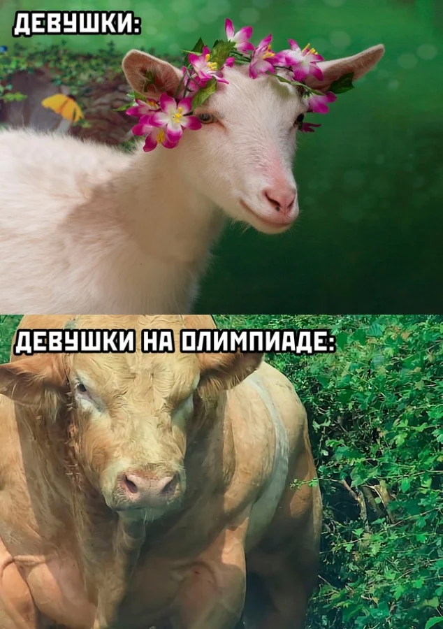 Весёлики