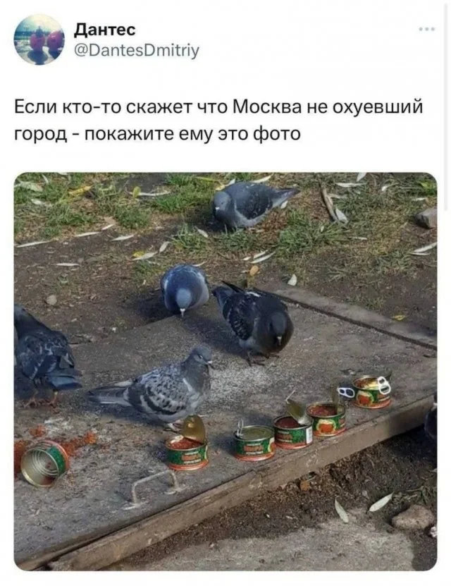 "Свежие" баяны