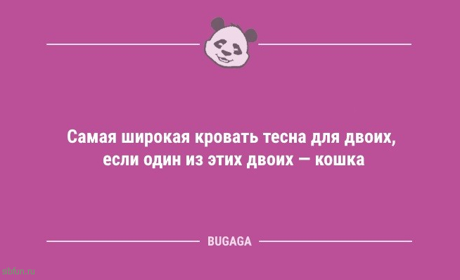 Анекдоты дня: "Ничто так не украшает квартиру…" 