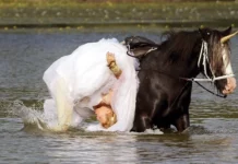 Приколы со свадьбы