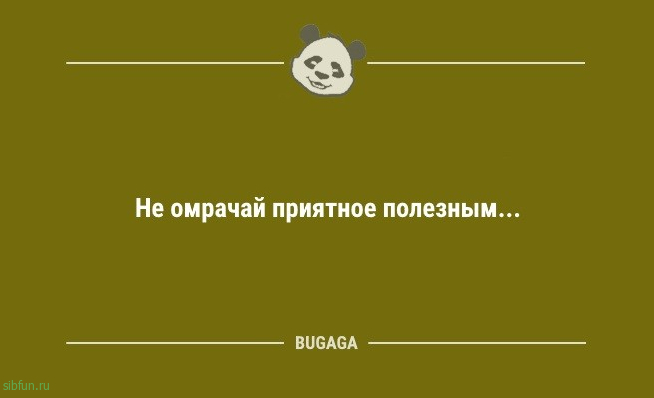 Предпятничные анекдоты: "Вась, ты тут?.." 