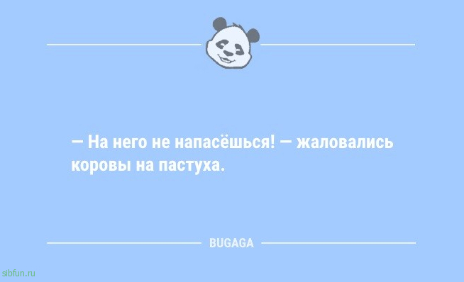 Анекдоты на Бугаге: "Если я долго не беру трубку…" 