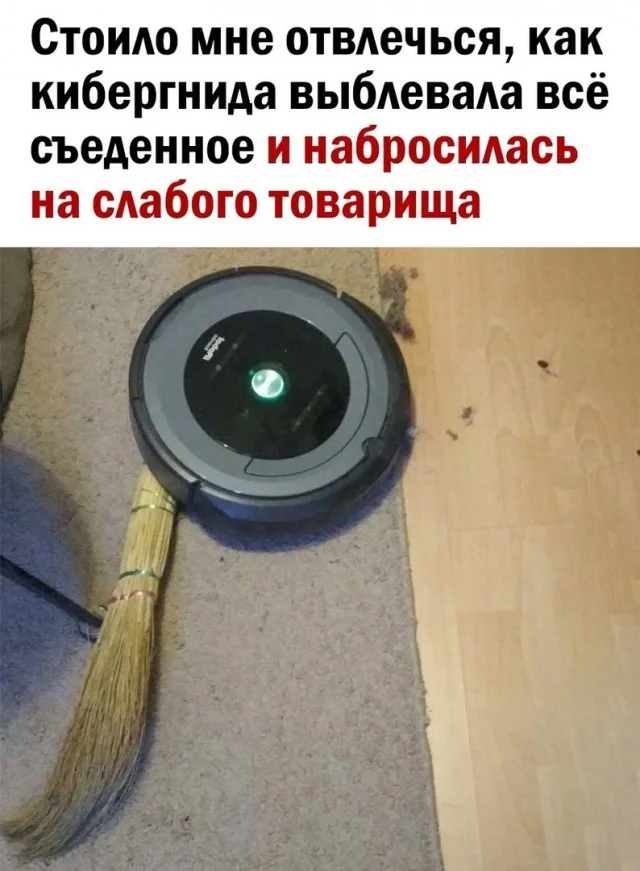 Свежие картинки