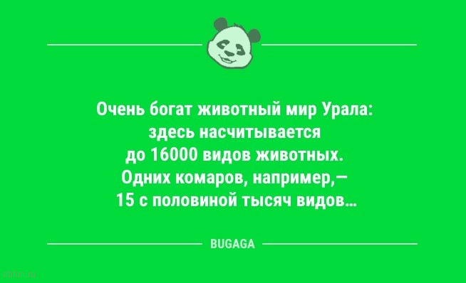 Шутки юмора в середине недели: «Ничто так не повышает квалификацию водителя,...» 