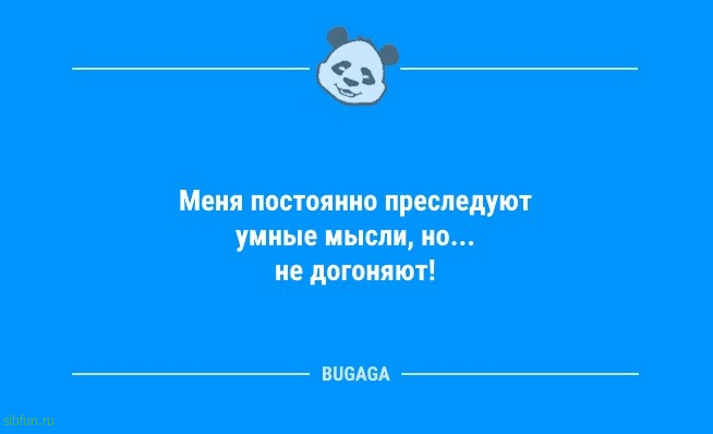 Смешные анекдоты в конце недели: «Меня постоянно преследуют умные мысли…» 