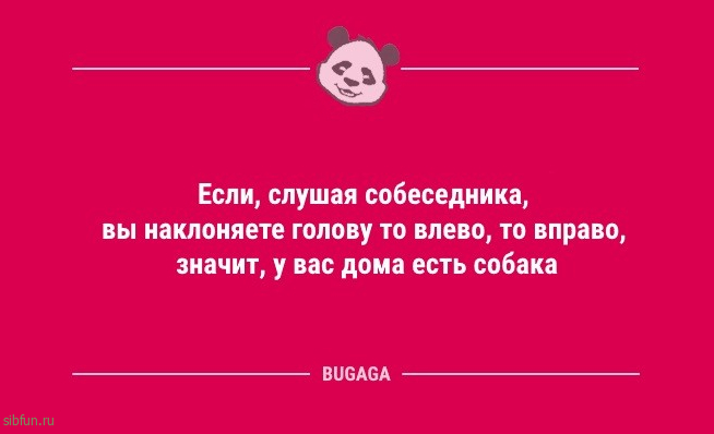 Анекдоты в конце недели: «Как звали вашу первую любовь?» 