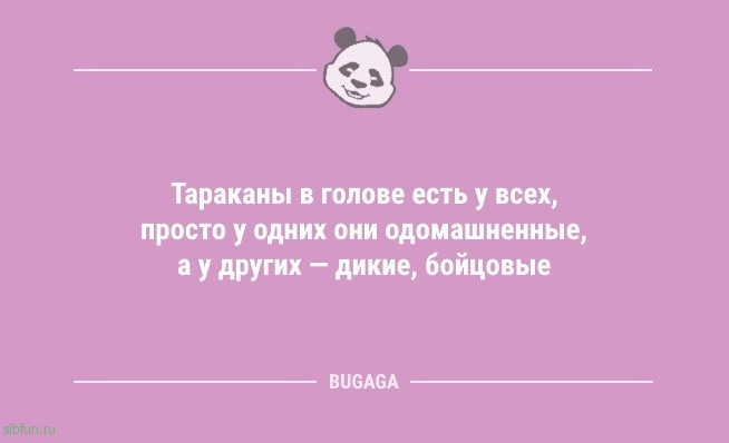 Анекдоты с шутками на любой вкус: «Когда розетка говорит с человеком…» 