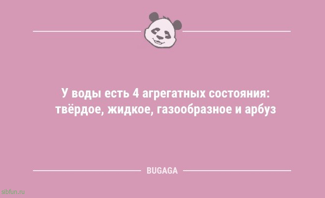 Анекдоты с шутками на любой вкус: «Когда розетка говорит с человеком…» 