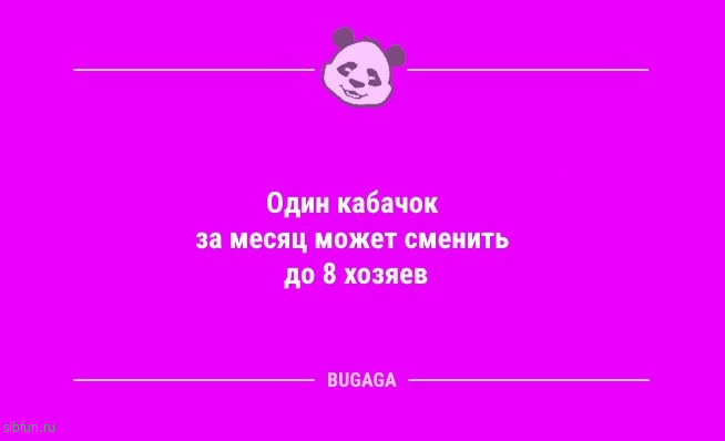 Смешные анекдоты в конце недели: «Меня постоянно преследуют умные мысли…» 