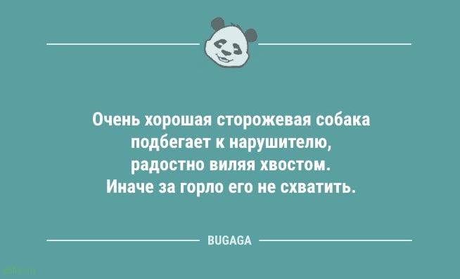 Смешные анекдоты: «Хорошие выходные взрослого — это обычный день в детском саду…» 