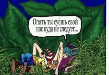 Картинки картиночки