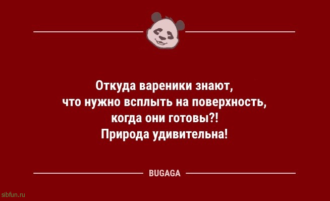 Шутки и анекдоты для хорошего настроения: «Планшет был изобретён для того,..» 