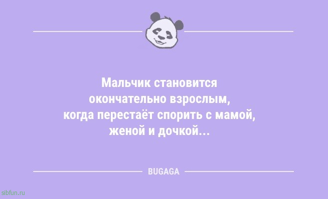 Анекдоты дня: «При дрессировке кошки главное — сделать вид…» 