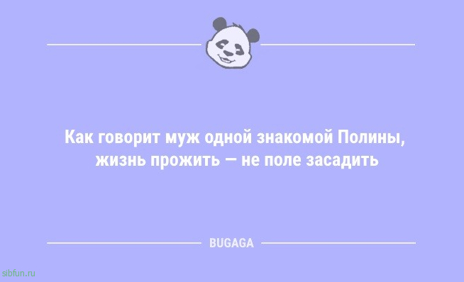 Анекдоты дня: «При дрессировке кошки главное — сделать вид…» 