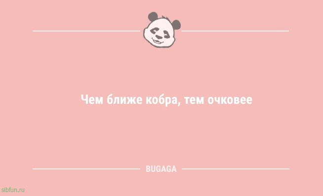 Свежая порция анекдотов: «Лазанья — это торт «Наполеон» с мясом» 