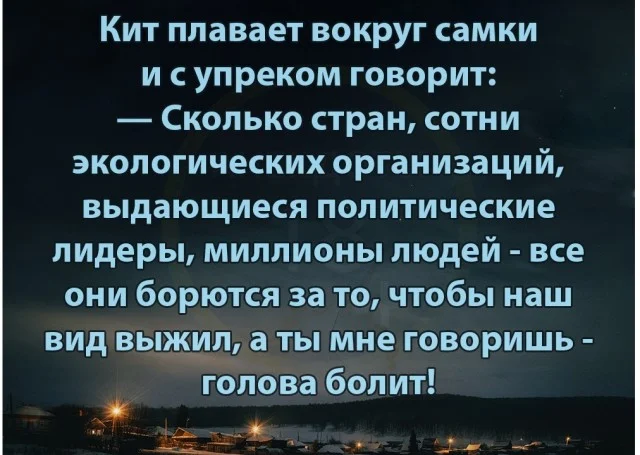 Свежие прикольные картинки