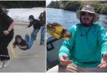 Случайные кадры, где и звёзды сошлись, и рак свистнул на горе