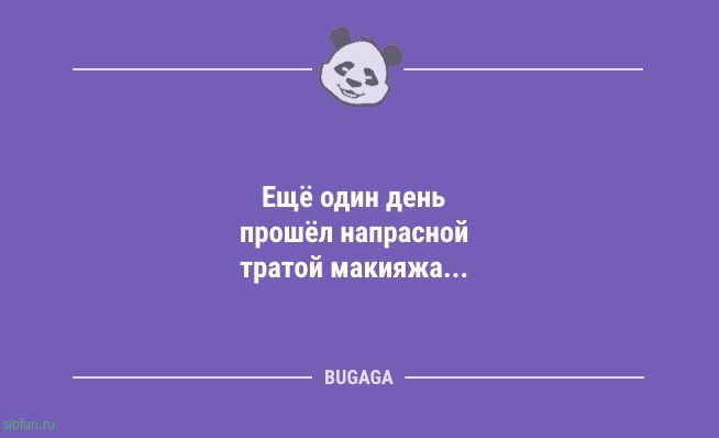 Анекдоты посмеяться: «Когда котики придут к власти…» 