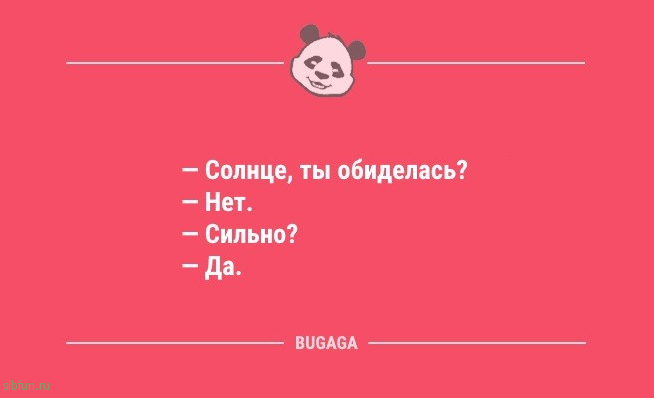 Анекдоты посмеяться: «Когда котики придут к власти…» 