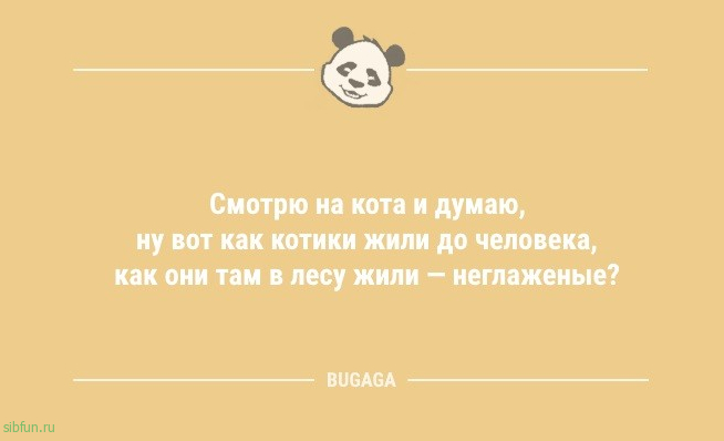 Анекдоты дня: «Чтобы ребёнок вырос начитанным,..» 