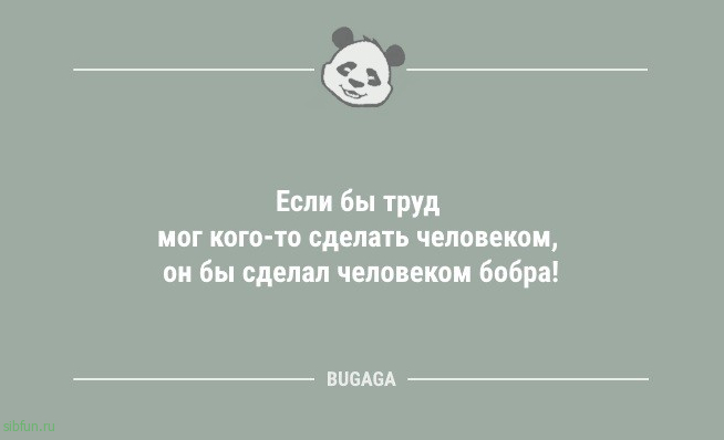 Анекдоты для всех: «Как объяснить этим соседям,..» 