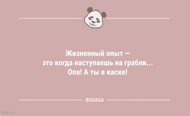 Свежие анекдоты: «Бесконечно можно смотреть на три вещи…» 