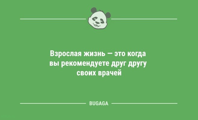 Анекдоты посмеяться: «Когда котики придут к власти…» 