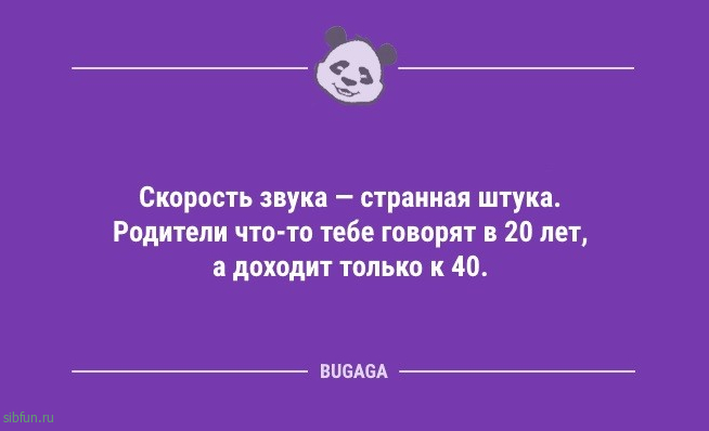 Анекдоты, чтобы улыбнуться: «Зачем мне разные гаджеты…» 