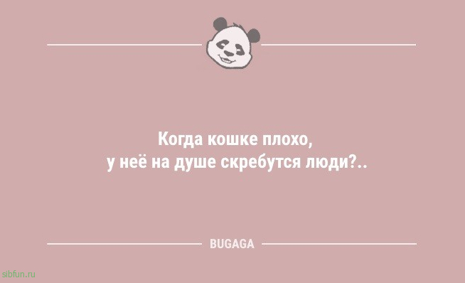 Анекдотов порция: «Некоторые видео с рецептами…» 