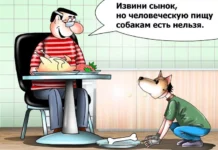 Чёрный юмор в карикатурах Сергея Корсунова