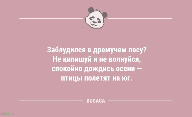 Анекдоты дня: «Чтобы отучить жену покупать всё подряд…» 