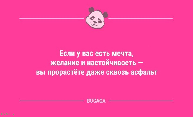 Смешные анекдоты с утра: «Блин, когда же лето!?» 