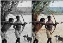 Классические баяны: Прикольные картинки 2