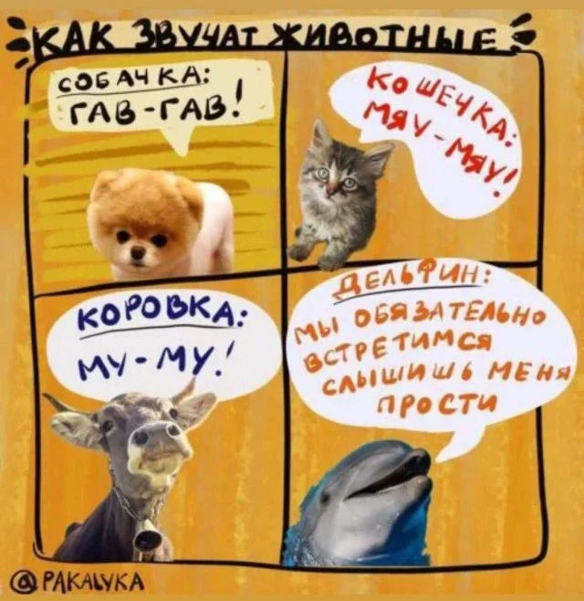 Бесплатные картинки