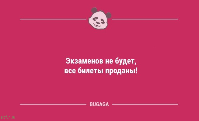 Анекдоты посмеяться: «Когда котики придут к власти…» 