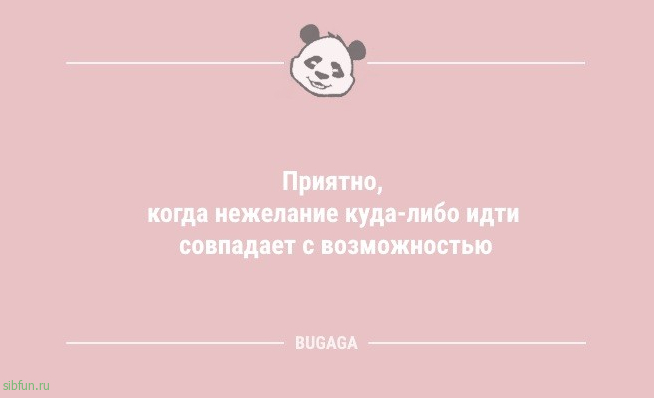 Анекдоты дня: «Чтобы отучить жену покупать всё подряд…» 