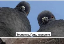 Самые свежие прикольные картинки