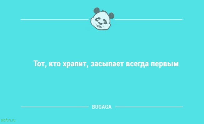 Анекдоты посмеяться: «Когда котики придут к власти…» 