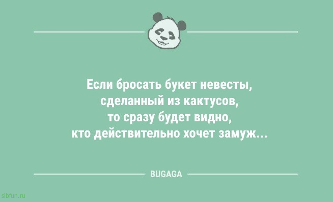 Анекдоты в конце недели: «Хорошо, что в «К&Б» продавцы постоянно меняются,..» 