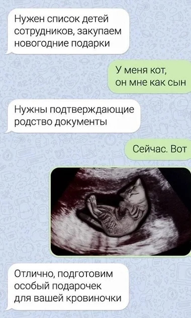 Юморные картинки