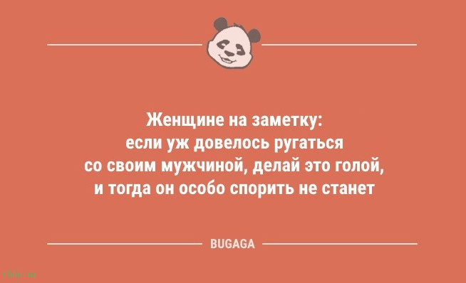 Анекдоты посмеяться: «Когда котики придут к власти…» 