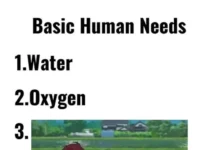 Анимемемы буднего дня