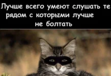 Картинки разные с надписями