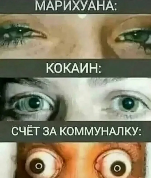 Юмор не для всех