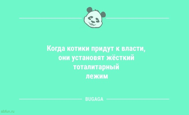 Анекдоты посмеяться: «Когда котики придут к власти…» 